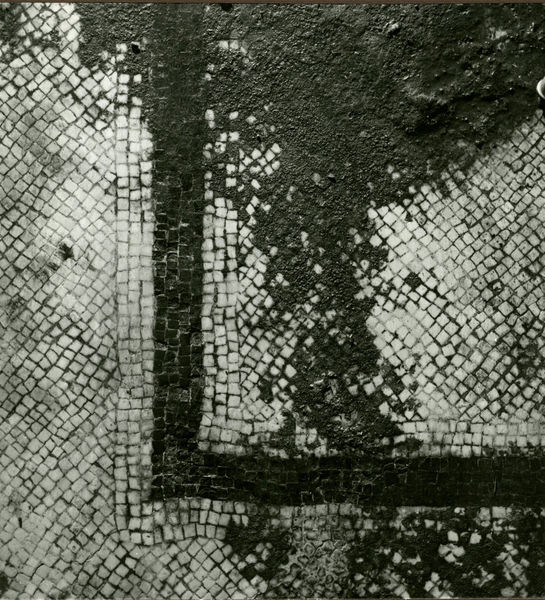 002700 - scavo archeologico - Casa Repubblicana a fianco delle Scalae Caci (sud-ovest della Casa di Livia), ambiente II della pianta degli scavi del Carettoni del 1956. Il mosaico Ã¨ composto da una balza marginale di tessere bianche a ordito obliquo e una cornice di quattro filari di tessere nere ad ordito regolare. La cornice risulta fiancheggiata su entrambi i lati da tre filari di tessere bianche a ordito regolare. Il campo centrale Ã¨ occupato da filari di tessere bianche a ordito obliquo.


Bibliografia di riferimento: Morricone, M.L. "Mosaici antichi in Italia-Regio X Palatium" 1967 pag. 40 e ss. 
Carettoni, G.F. in RendPontAcc. XXIX, 1956-1957 pp. 53-54

Senza negativo