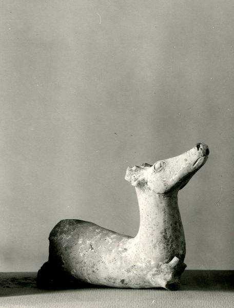 002707 - reperto - Casa Repubblicana a fianco delle Scalae Caci (sud-ovest della Casa di Livia), colmatura della fossa del pavimento dell'ambiente I, durante gli scavi del Carettoni del 1956.  Manico di rhyton (?) di terracotta depurata chiara (lunghezza cm 18), foggiato a corpo di cerbiatto. Alla base del collo era l'anello di presa (mancante); mancanti le corna dell'animale. Tracce di patinatura bianca. 

Bibliografia: Carettoni, G.F. in NsC 1967 pp.307-309

Neg. serie F nÂ°2409