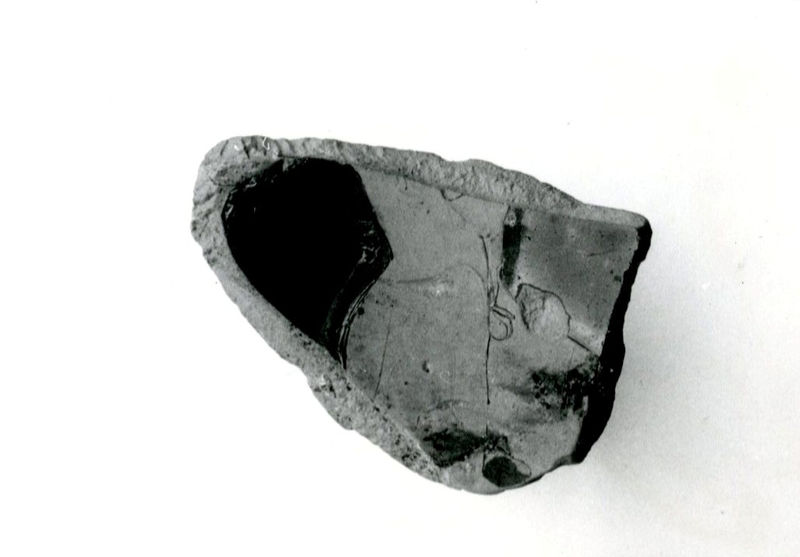 002708 - reperto - Casa Repubblicana a fianco delle Scalae Caci (sud-ovest della Casa di Livia), zona imprecisata dello scavo del I ambiente durante gli scavi del Carettoni del 1956.  
Fondo di coppa attica a figure rosse. Del fondo rimane la parte centrale con il fusto del piede (mancante). E' rappresentata, nell'interno, la parte inferiore del torace e le cosce di una figura efebica nuda volta verso destra, probabilmente un atleta in atto di lanciare un peso (?). Del braccio destro, notevolmente staccato dal corpo, rimane una piccola parte.  Lunghezza del frammento cm 5,5.

Bibliografia: Carettoni, G.F. in NsC 1967 pag.309

Neg. serie6x6 nÂ° 1260