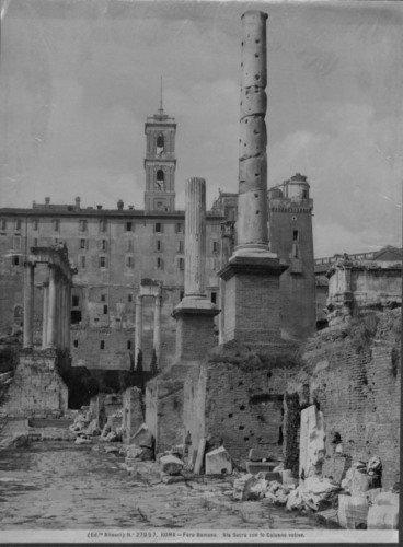  - Foro Romano. Colonne Onorarie