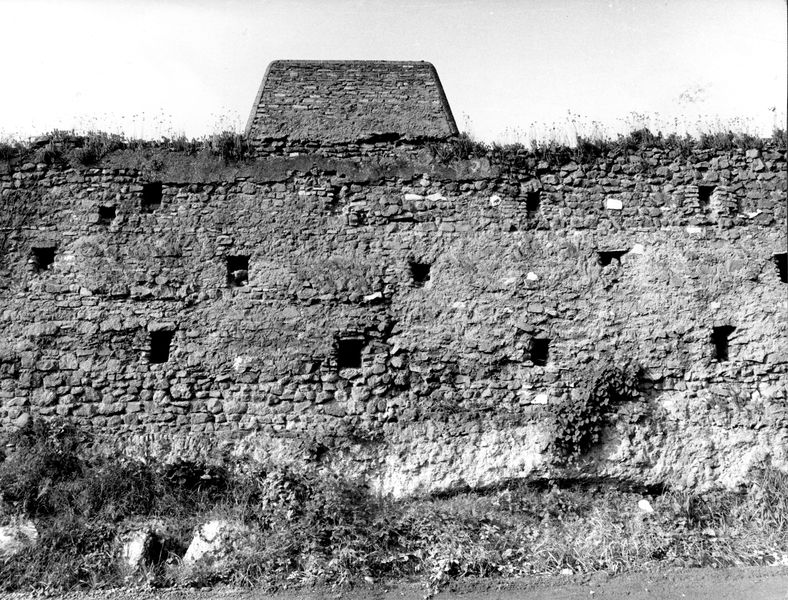 005449 - monumento - Veduta del muro di cinta