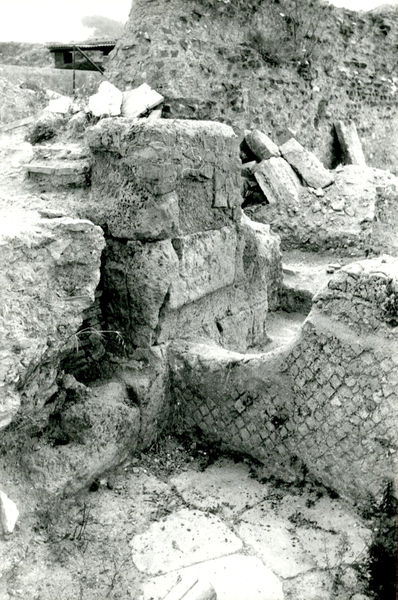 002729 - scavo archeologico - Casa Repubblicana a fianco delle Scalae Caci (sud-ovest della Casa di Livia), scavi Carettoni del 1956. Settore M 3 con resti di selciato stradale (basolato) e muro in opera reticolata. Neg. serie Film nÂ° 91

Bibliografia: Caretton, G.F. NsC 1967 pp. 287 e ss.