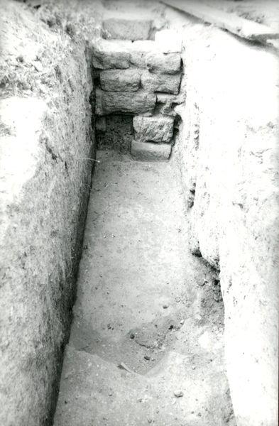 002725 - scavo archeologico - Casa Repubblicana a fianco delle Scalae Caci (sud-ovest della Casa di Livia), scavi Carettoni del 1956. Settori L e M. Neg. serie Film nÂ° 94

Bibliografia: Caretton, G.F. NsC 1967 pp. 287 e ss.