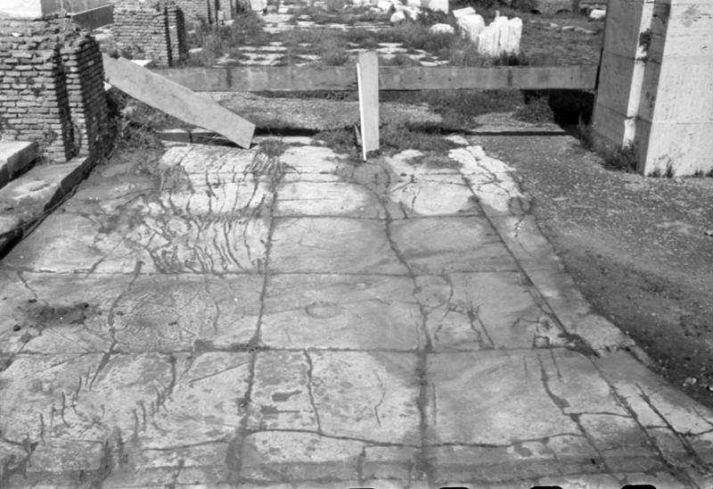 1-00025/ 07902/ 16793 - Roma - Foro Romano - Basilica Giulia