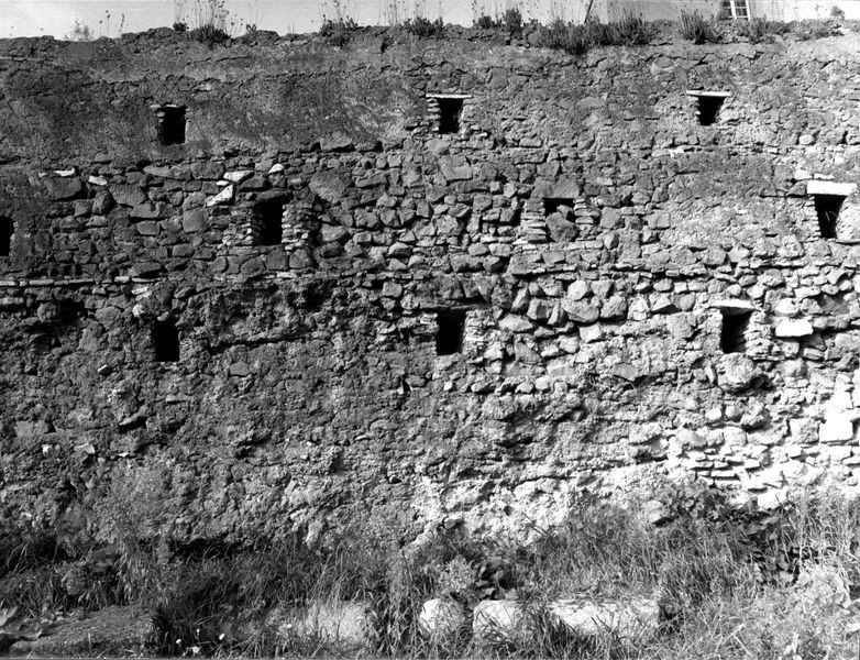 005445 - monumento - Veduta del muro di cinta