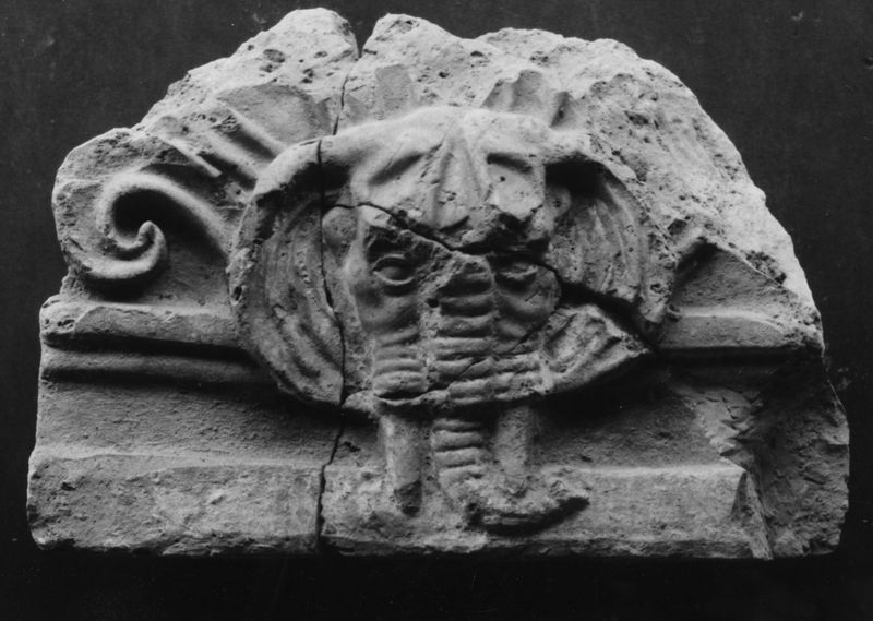 C000765 - monumento - Colosseo, settore sud-occidentale, primo ordine, documentazione di atti di inciviltÃ  (foto 14/09/1985); neg. serie I178