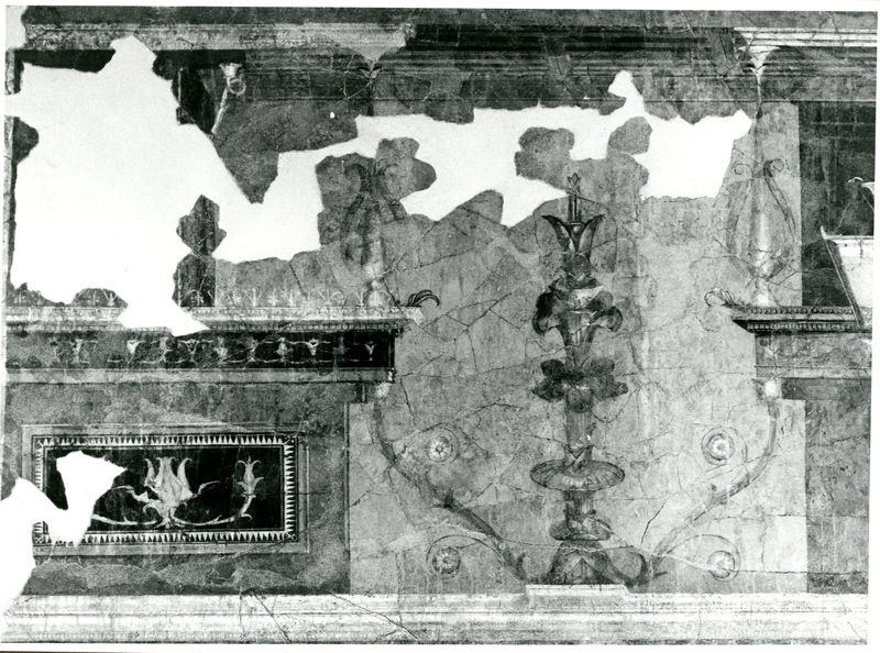 002049 - reperto - Casa di Augusto, "Studiolo di Augusto" c.d., cubicolo superiore, parete settentrionale, particolare della decorazione in alto a sinistra: pittura parietale in secondo stile pompeiano, dopo il distacco e restauro, con ricollocazione in situ su pannelli. Bibliografia: Musatti, G. "Casa di Augusto sul Palatino. L'intervento di restauro e considerazioni sulla decorazione pittorica" in Bollettino d'Arte 2, aprile-giugno 2009 (serie VII) pp. 21 e ss. / Iacopi, I. "Casa di Augusto, le pitture" Electa 2007

Neg. serie 6x6 nÂ° 18659