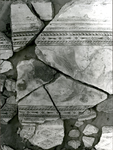 002061 - restauro - Casa di Augusto, "Studiolo di Augusto" c.d., cubicolo superiore, particolare della decorazione della volta: durante il restauro della pittura parietale in secondo stile pompeiano, dopo il distacco, con successiva ricollocazione in situ. Bibliografia: Musatti, G. "Casa di Augusto sul Palatino. L'intervento di restauro e considerazioni sulla decorazione pittorica" in Bollettino d'Arte 2, aprile-giugno 2009 (serie VII) pp. 21 e ss. / Iacopi, I. "Casa di Augusto, le pitture" Electa 2007

Neg. serie Film nÂ° 845
