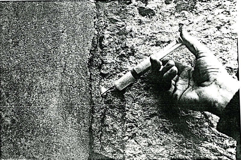 002689 - restauro - Casa di Livia, pronto intervento del 12/02/1986. Fotocopia.
 Neg. serie 1659