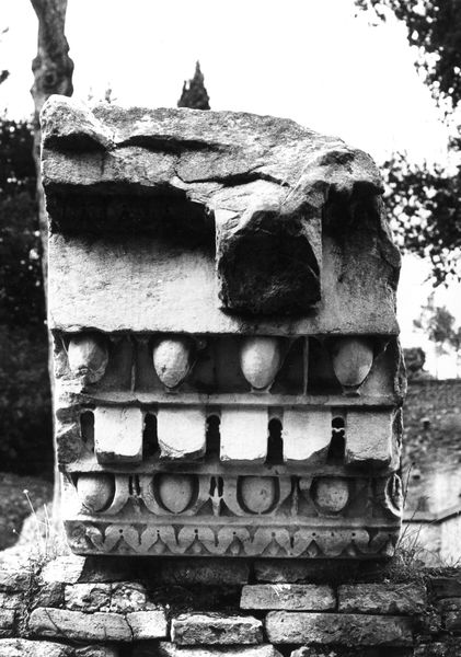 005658 - reperto - Palatino, Clivo Platino, frammenti architettonici (1993); neg. serie 6x6, img. n. 20375