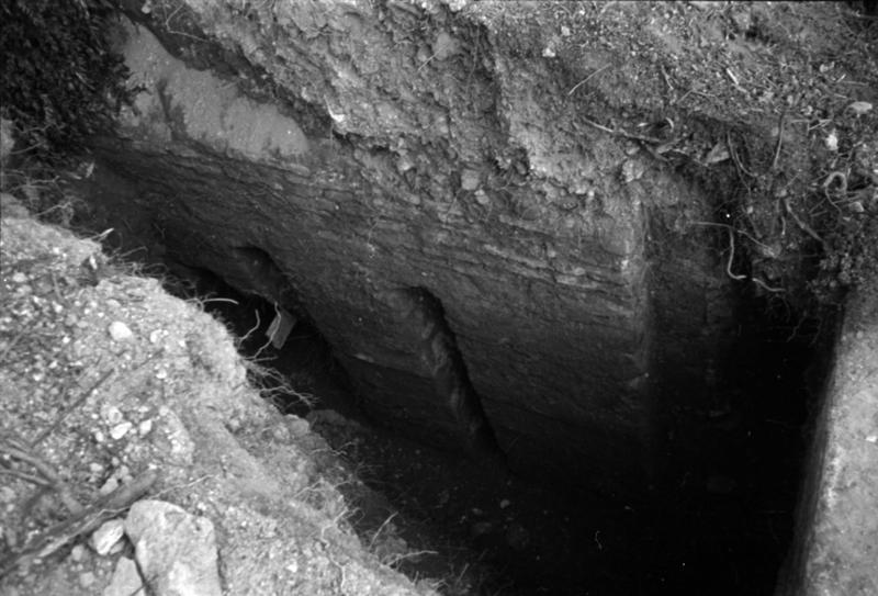 1-00026/ 07903/ 16794 - Roma - Palatino - Paedagogium