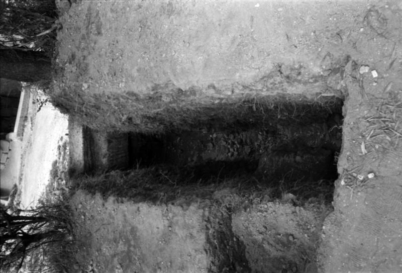 1-00026/ 07903/ 16794 - Roma - Palatino - Domus Tiberiana