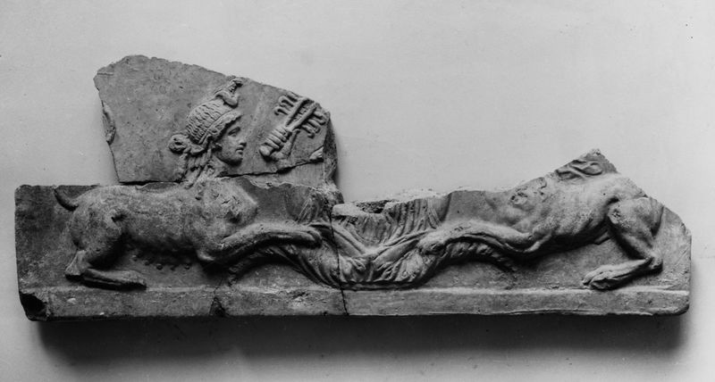 C000888 - monumento - Colosseo, ipogei, galleria occidentale, veduta dell'antiquarium allestito all'interno della galleria; neg. serie I266