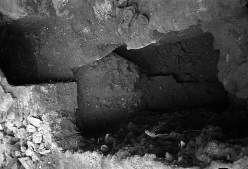 1-00026/ 07903/ 16794 - Roma - Palatino - Domus Tiberiana