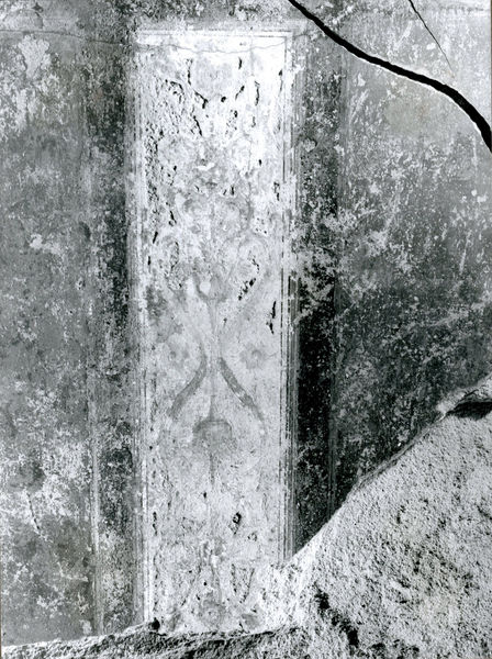 002112 - restauro - Casa di Augusto, "Studiolo di Augusto" c.d., cubicolo superiore, parete di fondo: pittura parietale in secondo stile pompeiano, durante la fase di collocazione su supporti, prima del distacco (1982) e del restauro. Anno di esecuzione dei lavori:1981. 
Bibliografia: Musatti, G. "Casa di Augusto sul Palatino. L'intervento di restauro e considerazioni sulla decorazione pittorica" in Bollettino d'Arte 2, aprile-giugno 2009 (serie VII) pp. 21 e ss. 

Neg. serie Film nÂ° 960