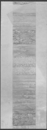  - Foro Romano.  Comizio-Niger Lapis. Stratigrafia