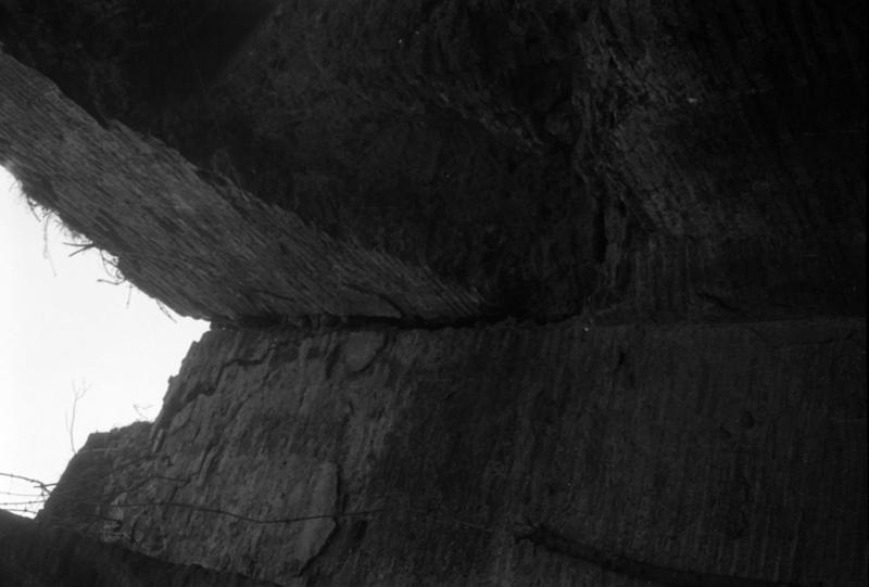 1-00027/ 08001/ 16795 - Roma - Palatino - Palatino, pendici meridionali verso il Circo Massimo