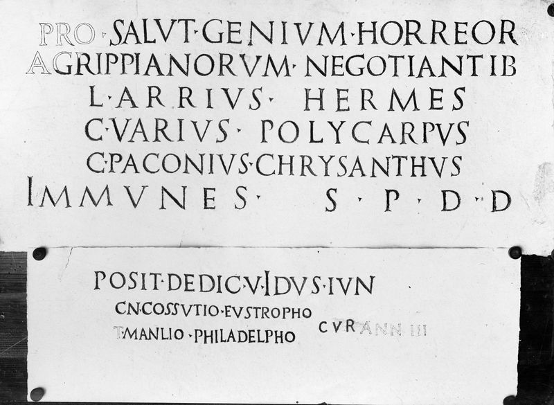 015457 - elaborato grafico - Foro Romano, Horrea Agrippiana, dedica al genio; senza negativo
