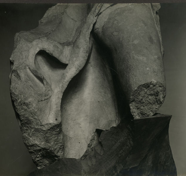 C001242 - monumento - Colosseo, settore nord-orientale, chiesa di S. Maria della PietÃ . Iscrizione commemorativa del restauro della chiesa avvenuto nel 1817 (foto settembre1988); neg. serie L2164