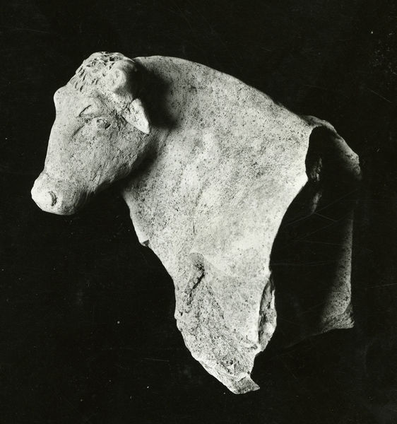 C001350 - restauro - Colosseo, settore meridionale, primo ordine. Lavori in corrispondenza di uno dei condotti (foto 15/06/1981); neg. serie L7