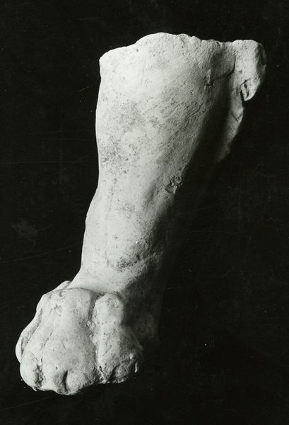 C001354 - restauro - Colosseo, settore meridionale, primo ordine. Lavori in corrispondenza della pavimentazione (foto 15/06/1981) neg. serie L7