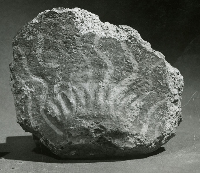 C001367 - scavo archeologico - Colosseo, carote della fondazione; neg. serie L9