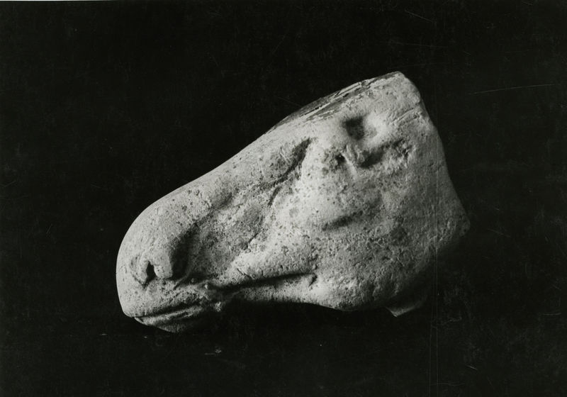 C001369 - scavo archeologico - Colosseo,  carotaggi sul versante nord della cavea (ponteggio di restauro in summa cavea).; neg. serie L9