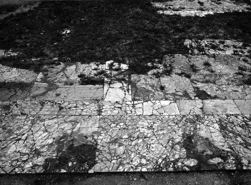 011403 - monumento - Basilica Emilia, pavimento in lastre marmoree dell'Aula della basilica. Giugno 1968. Neg. serie 9x12 nÂ° 778