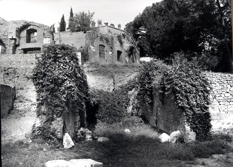 005566 - monumento - Palatino, Clivo Palatino, ambiente E, ricognizione del 1982; neg. serie FILM n. 1053