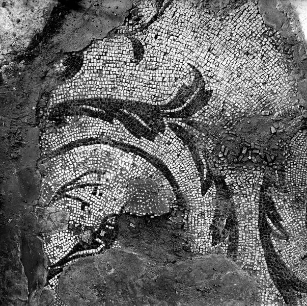 021938 - monumento - Palatino, Domus Tiberiana, settore 13, livello V(amb. 44.1-47.1), il c.d. Ponte di Caligola dopo il restauro dei mosaici (autunno 1966) (originale presso Arch. Martines); neg. serie F, n. 2700