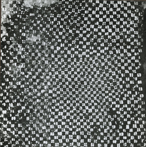 002560 - monumento - Casa di Augusto, corridoio C : mosaico di tessere rettangolari disposte a ordito "a canestro", bianche e nere.
Databile tra l'etÃ  di Cesare e Augusto. 
Ulteriori notizie bibliografiche: Morricone, M.L. "Mosaici antichi in Italia-Regio X" 1969 pag. 48 
Senza Negativo