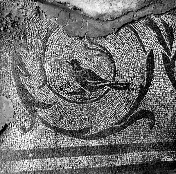 021939 - monumento - Palatino, Domus Flavia, veduta della basilica; neg. serie film n. 903