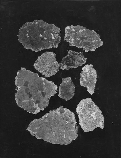 003633 - reperto - Palatino, Domus Flavia, frammenti di pavimento di cocciopisto recuperati nella zona dell'Aula Regia; senza negativo