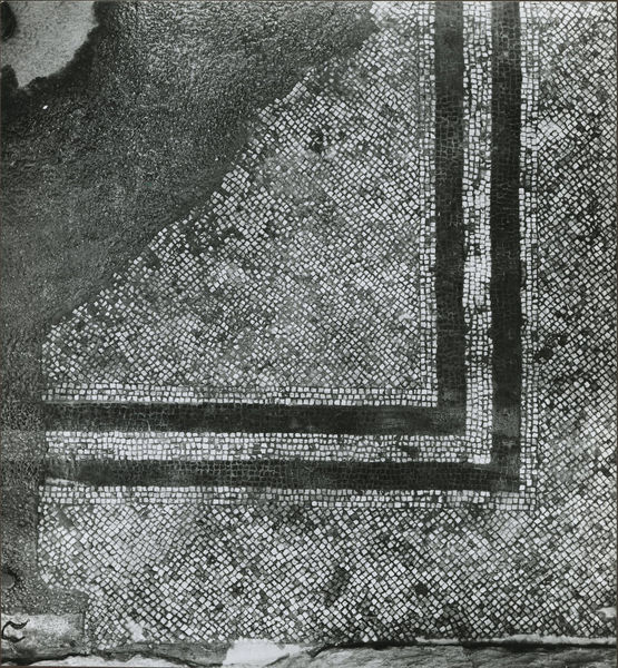 002565 - monumento - Casa di Augusto, ambiente 2: mosaico bianco a ordito obliquo regolare, incorniciato da doppia fascia nera di cinque filari di tessere a ordito regolare, accompagnati da tre filari di tessere bianche esternamente. Tra i due filari corre una fascia bianca di cinque filari di tessere. La balza marginale Ã¨ a tessere bianche a ordito obliquo.  Databile tra l'etÃ  di Cesare e Augusto. 
Ulteriori notizie bibliografiche: Morricone, M.L. "Mosaici antichi in Italia-Regio X" 1969 pag. 50 
Senza Negativo