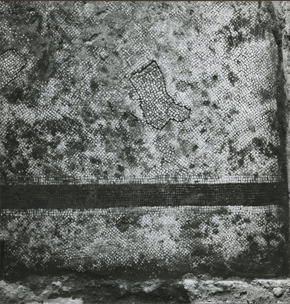 002567 - monumento - Casa di Augusto, ambiente G: l'ambiente originale che ospitava tale mosaico Ã¨ stato successivamente ripartito in 5 vani, ai quali Ã¨ stata data una nuova pavimentazione in opus spicatum. Dell'antico mosaico rimane un rettangolo di circa 4,45x2,05 m. 
Si compone di tessere bianche a ordito obliquo irregolari nel campo e oblique anche nella balza marginale, piÃ¹ regolare. E' circondato da una fascia di nove filari di tessere nere, accompagnati dentro e fuori da tre filari bianchi.  Databile tra l'etÃ  di Cesare e Augusto. 
Ulteriori notizie bibliografiche: Morricone, M.L. "Mosaici antichi in Italia-Regio X" 1969 pag. 50 
Senza Negativo