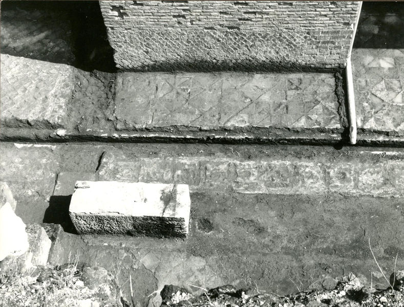 002550 - monumento - Casa di Augusto, vano 10: impronte nella malta di un pavimento in opus sectile, redatto secondo il motivo "dei cubi prospettici". Il campo Ã¨ bordato da una fascia decorata con il motivo dei quadrati listellati contenenti  un quadrato iscritto sulla diagonale, anch'esso listellato. Ulteriori notizie bibliografiche: Guidobaldi, F. 1999, Sectilia pavimenta delle residenze imperiali di Roma e dellâ€™area romana, in La mosaÃ¯que GrÃ©co â€“ Romaine VII. Actes du Colloque International pour lâ€™Ã©tude de la mosaÃ¯que antique (Tunis, 3-7 octobre 1994), Tunis, p. 644, pl. CCXL, F.
Senza negativo