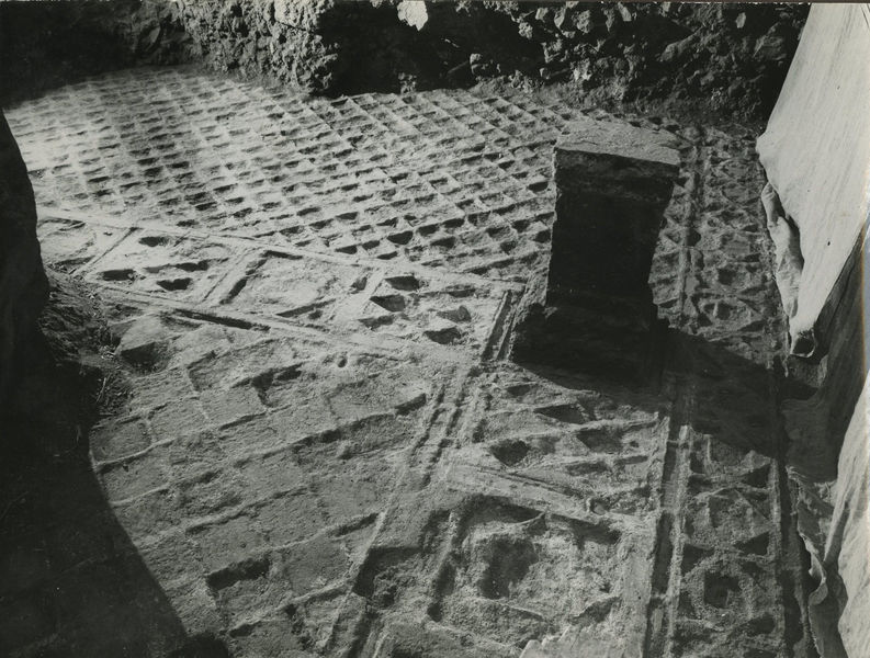 002556 - monumento - Casa di Augusto, oecus (ambiente 13): pavimento in opus sectile a modulo quadrato con motivo a quadrati listellati (L/Q della classificazione del Guidobaldi). Impronte nello stato preparatorio di malta. Bibliografia di riferimento:
Guidobaldi, F. 1999, Sectilia pavimenta delle residenze imperiali di Roma e dellâ€™area romana, in La mosaÃ¯que GrÃ©co â€“ Romaine VII. Actes du Colloque International pour lâ€™Ã©tude de la mosaÃ¯que antique (Tunis, 3-7 octobre 1994), Tunis, p. 640, pl. CCXL, F.
Neg. serie 9x12 nÂ°1364