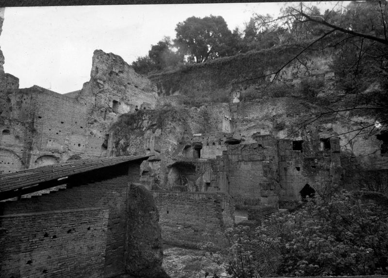 015508 - monumento - Foro Romano, Horrea Agrippiana; neg. serie 6x6, n. 2524