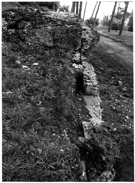 002981 - monumento - Strutture Imperiali prospicenti la via di S. Gregorio: luglio 1992
