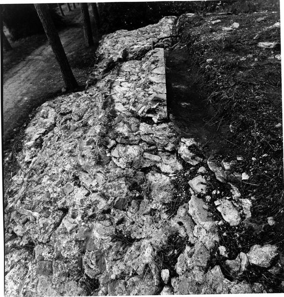 002980 - monumento - Strutture Imperiali prospicenti la via di S. Gregorio: luglio 1992