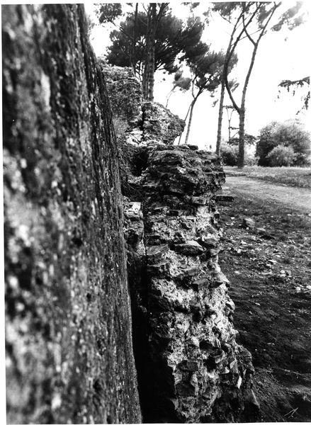 002978 - monumento - Strutture Imperiali prospicenti la via di S. Gregorio: luglio 1992