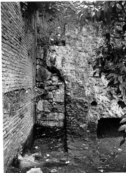 002975 - monumento - Strutture Imperiali prospicenti la via di S. Grecorio: luglio 1992