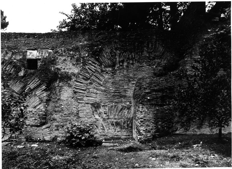 002967 - monumento - Strutture Imperiali prospicenti la via di S. Grecorio: luglio 1992