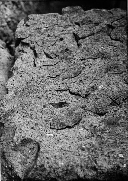 000070 - monumento - Palatino, Roma quadrata, Scalae Caci, muratura del lato occidentale, particolare di un blocco di tufo: Film n. 2462