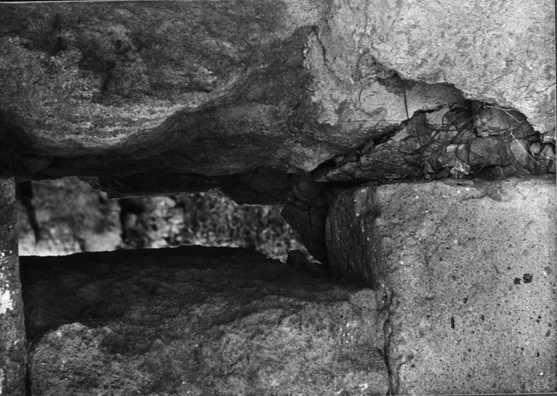 000071 - monumento - Palatino, Roma quadrata, Scalae Caci, muratura del lato occidentale, particolare di un blocco di tufo: Film n. 2462