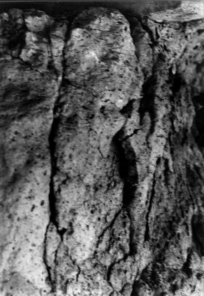 000079 - monumento - Palatino, Roma quadrata, Scalae Caci, muratura del lato occidentale, particolare di un blocco di tufo: Film n. 2462