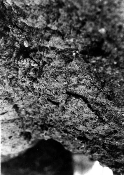 000080 - monumento - Palatino, Roma quadrata, Scalae Caci, muratura del lato occidentale, particolare di un blocco di tufo: Film n. 2462