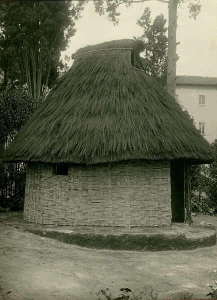 002909 - monumento - Palatino, ricostruzione delle capanne protostoriche (studi Boni); neg. serie E, img. n. 1946