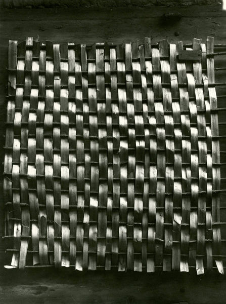 002914 - monumento - Palatino, ricostruzione delle capanne protostoriche, esempio di graticcio (studi Boni); neg. serie E, img. n. 1953