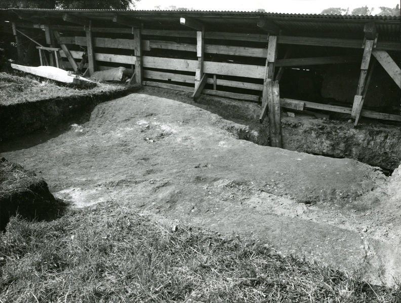 002197 - scavo archeologico - Casa di Augusto, zona dell'oecus prima dello scavo. Neg. serie 9x12 nÂ°1329